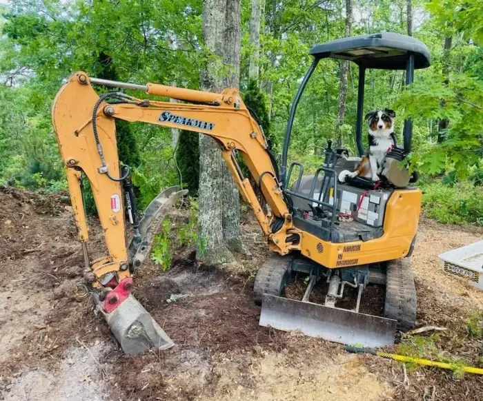 Mini excavator with a dog riding in the cab